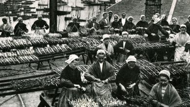 Comment la pêcherie de sardine « exploitée » de Douarnenez a forcé le patronat à se plier